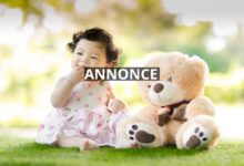 Når kun den bedste bamse er god nok